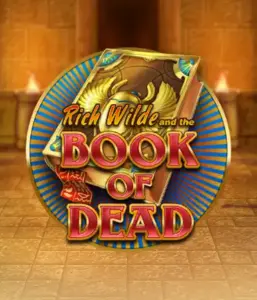 Embark on the thrilling world of Book of Dead Slot by Play'n GO, showcasing vivid graphics of Rich Wilde's journey through ancient Egyptian tombs and artifacts. Uncover lost riches with captivating mechanics like free spins, expanding symbols, and a gamble option. Ideal for adventure enthusiasts with a desire for exciting finds.